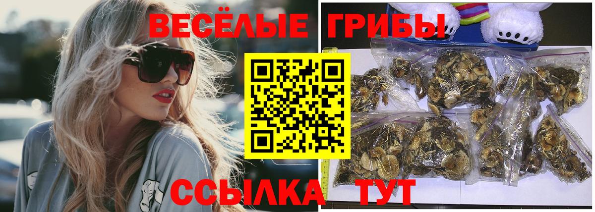 Псилоцибиновые грибы Psilocybine cubensis  Вход с VPN  Галлюциногенные грибы MAGIC MUSHROOMS  Нижнекамск 