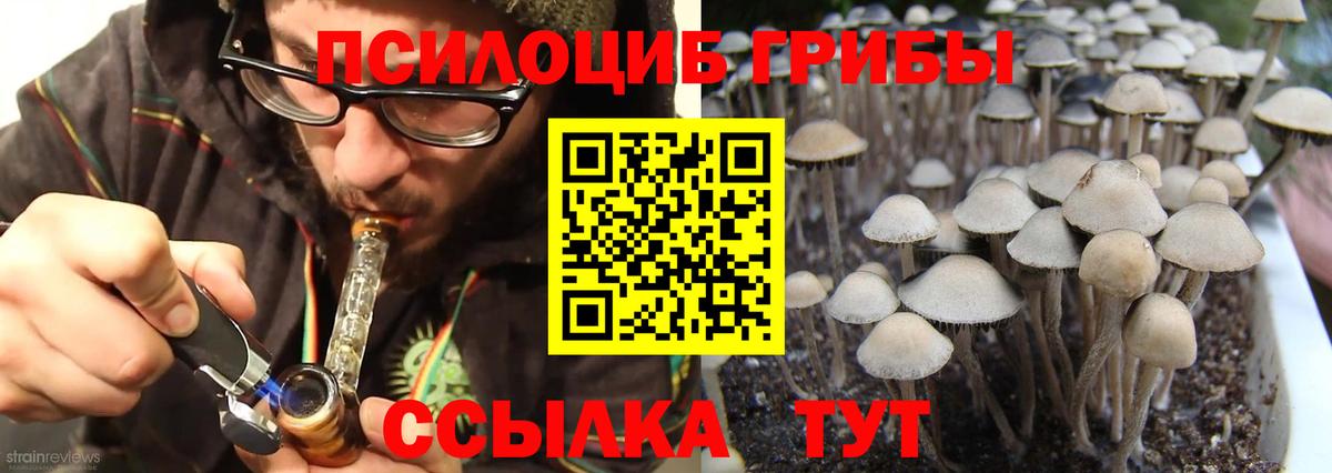 Галлюциногенные грибы Cubensis Нижнекамск